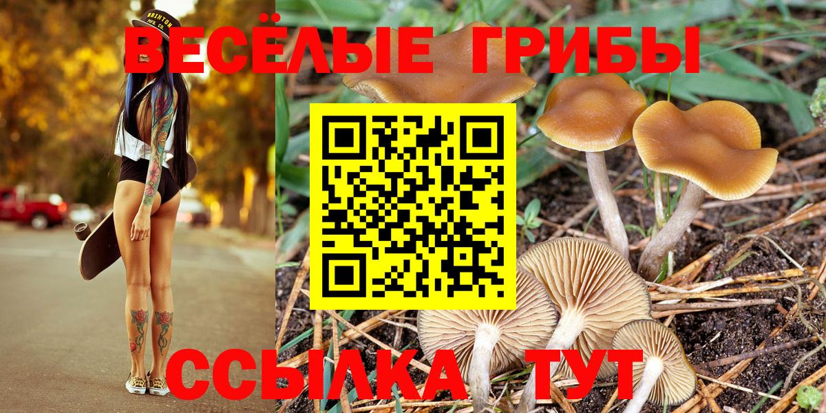 Гурьевск  Галлюциногенные грибы Magic Shrooms  Вход с VPN 